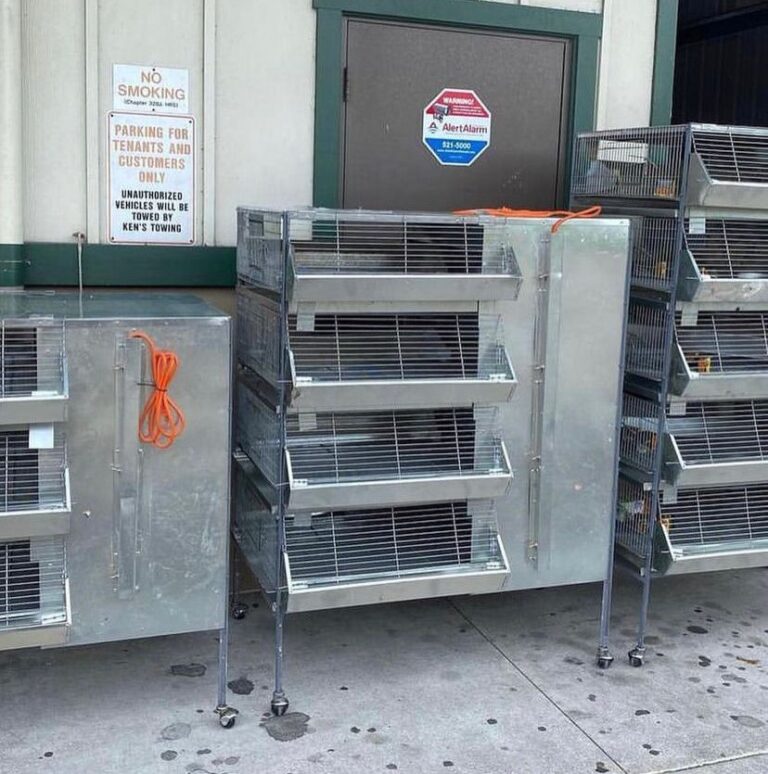 Buy Good Brooders - gamefowlssupplies.com